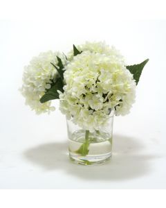 Waterlook® White Hydrangeas in Glass Cylinder