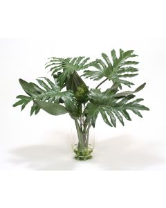 Waterlook® Philodendron and Exotic Bird of Paradise in Glass Vase