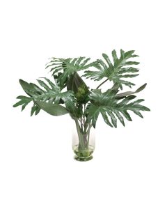 Waterlook® Philodendron and Exotic Bird of Paradise in Glass Vase