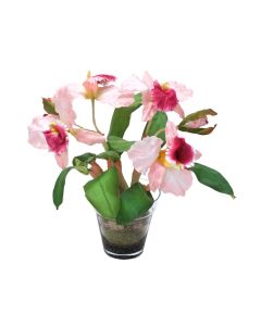 Waterlook® Sonia Cattleya Orchid Plant In Glass Flower Pot Vase