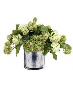Waterlook® Mixed Cream Green Hydrangeas and Basil in Silver Ringed Glass Vase