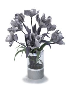 Gray Iris in Gray Banned Cylinder