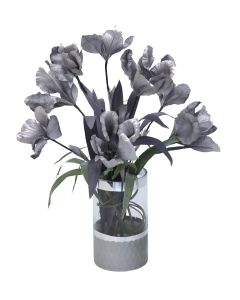 Gray Iris in Gray Banned Cylinder