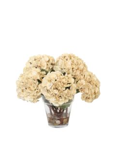 Beige and Cream Hydrangea Mix in Glass Vase