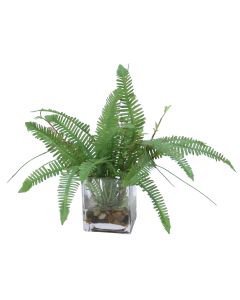 Fern with Mixed Grass in Rectangular Glass