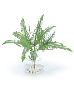 Mini Fern in Glass Vase with Rim