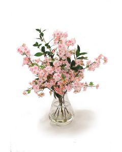Pink Pear Blossoms in Rimmed Vase