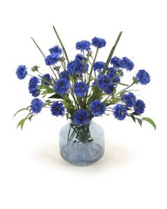 Blue Cornflower in Blue Vase