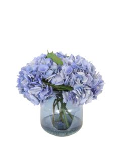 Blue Hydrangeas in Blue Glass Vase