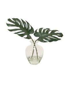 Philodendron Leaf in Glass