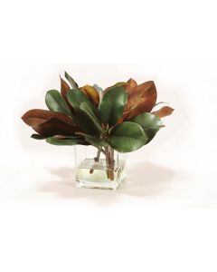 Magnolia Foliage in Glass