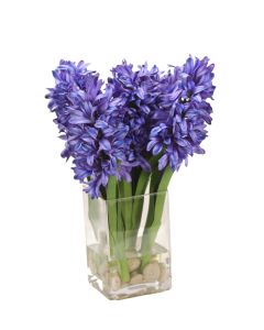 Blue Hyacinths in Square Vase