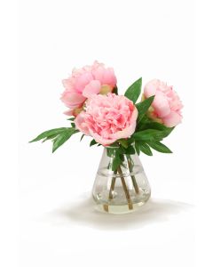 Pink Peonies in Tear Drop Vase