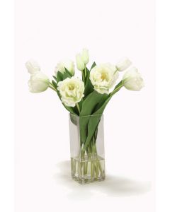 Cream Green Parrot Tulips in Square Vase