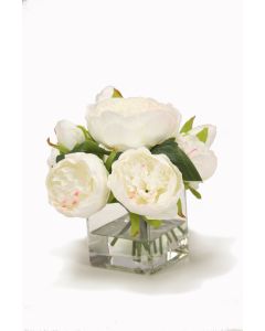 White Peonies in Square Glass