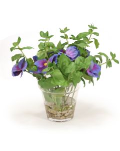 Pansies in Glass Flower Pot