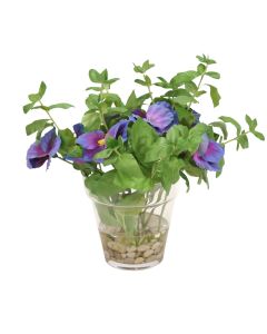 Pansies in Glass Flower Pot