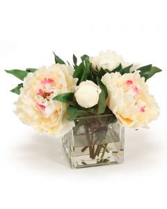 Cream Peony in Square Glass