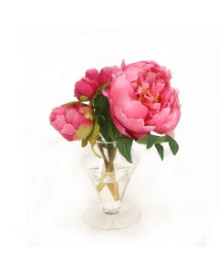 Beauty Peonies in Pedestal Vase