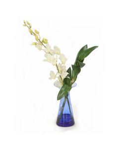 White Orchids in Blue Vase