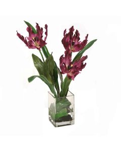 Parrot Tulips in Glass Vase