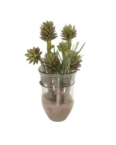 Succulents in Art Glass Vase