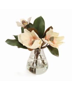 Magnolias in Teardrop Glass Vase