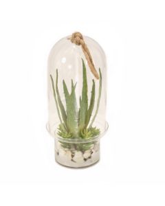 Succulent Garden in Glass Dome
