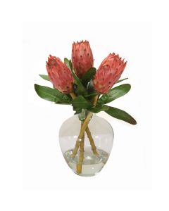 Pink Proteas in Glass Vase