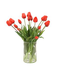 Red Tulips in Glass Cylinder