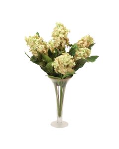 Peegee Hydrangeas in Trumpet Vase