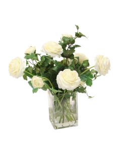 White Ranunculus in Square Vase