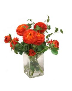 Dark Red Ranunculus in Square Vase