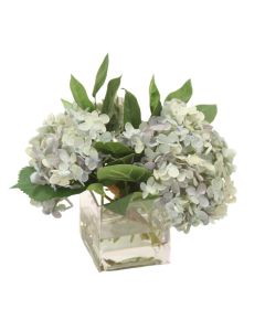 Antique Blue Hydrangea in Square Glass