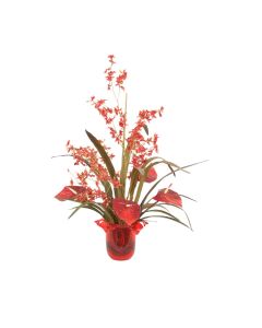 Red Oncidium Orchid with Red Antherium's in Red Vase