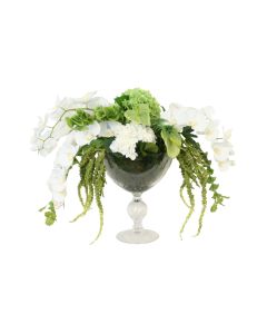White Phalaenopsis Orchids and Green Garden Flowers in Glass Urn