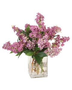 Purple Lilac's in Square Glass Vase