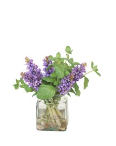 Hyacinth's in Clear Vase