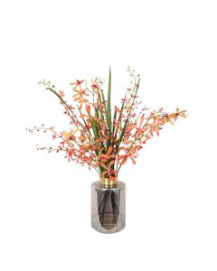 Vanda Orchids with Foliage in Smoke Colored Glass with Gold Rim