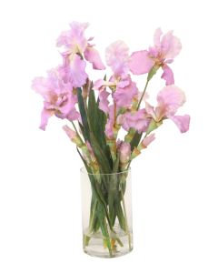 Lavender Iris in Round Cylinder Vase