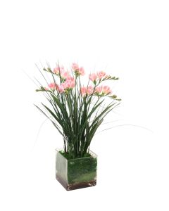  Waterlook® Pink Freesia Mixed with Grass in Square Glass Vase