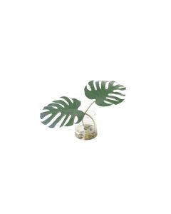 Philodendron Leaf in Tapered Glass