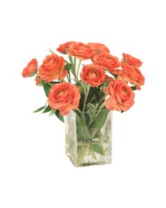 Coral Ranunculus in Glass Vase