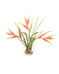Rose Heliconia in Tapered Vase 