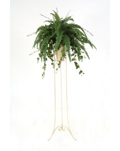 Boston Fern in Beige Vase with Plant Stand