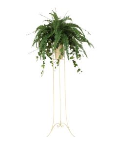 Boston Fern in Beige Vase with Plant Stand