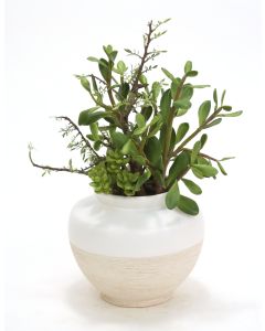 Succulents in Matte White and Aged Stone Vase