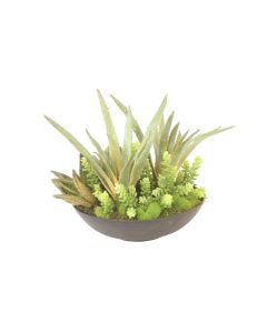Succulent Mix in Rough Stone Black Bowl