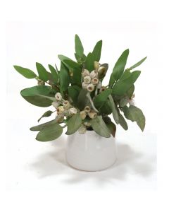 Frosted Eucalyptus in White Container