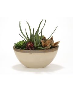 Succulent Garden in Glazed Tan Ceramic Oval Planter